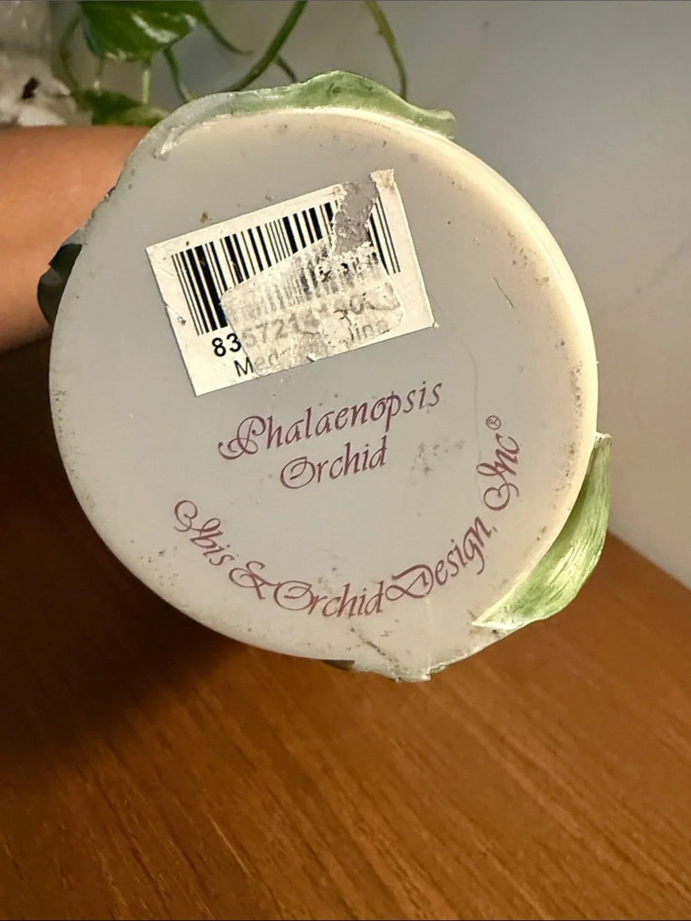 Vintage Orchid Vase 3d